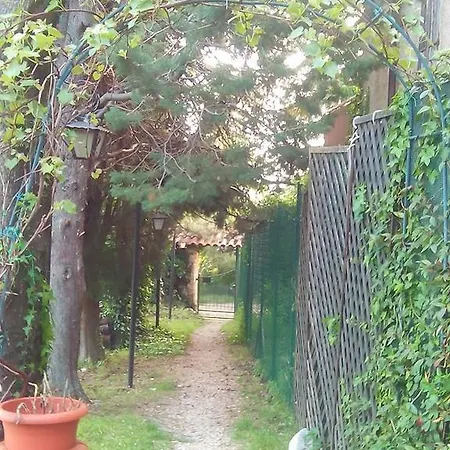 Coldimetino Nyaraló *