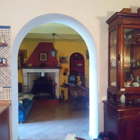 Coldimetino *