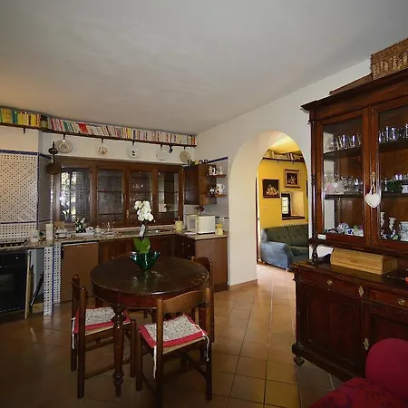 Nyaraló Coldimetino *