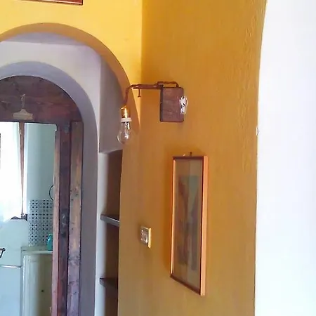 Coldimetino Nyaraló *