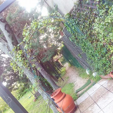 Coldimetino *