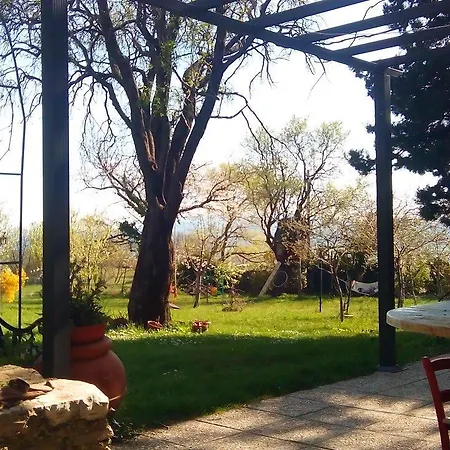 Nyaraló Coldimetino *