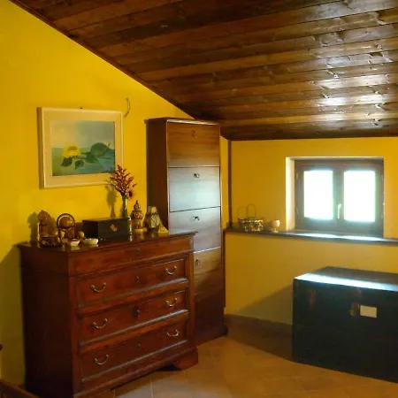 Coldimetino Nyaraló
